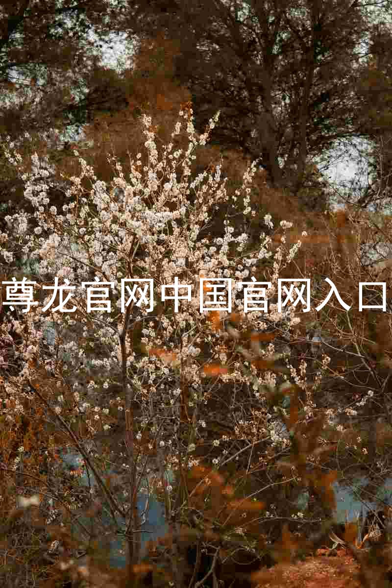 尊龙官网中国官网入口