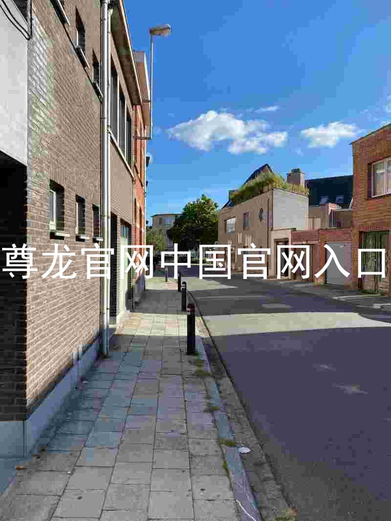 尊龙官网中国官网入口