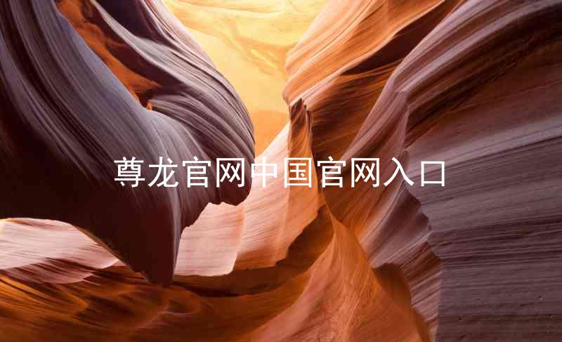尊龙官网中国官网入口
