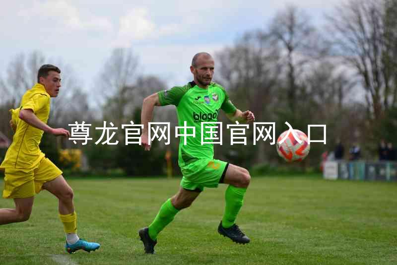 尊龙官网中国官网入口