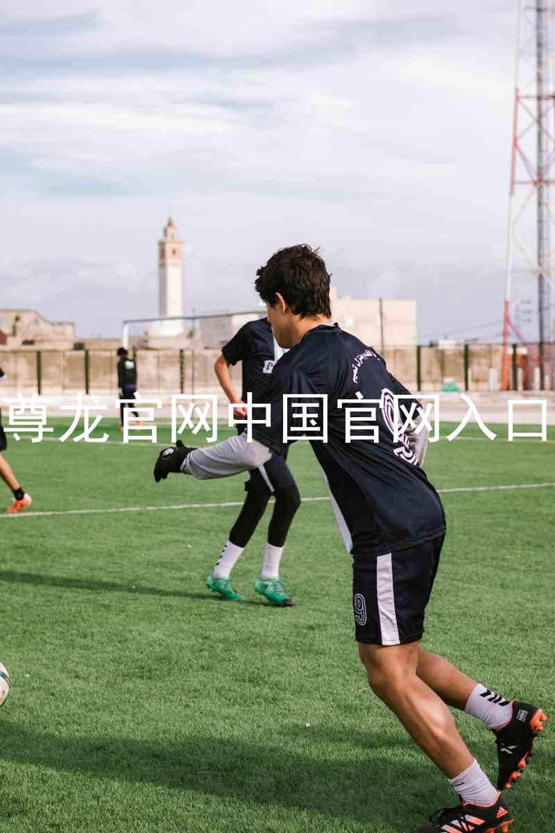 尊龙官网中国官网入口