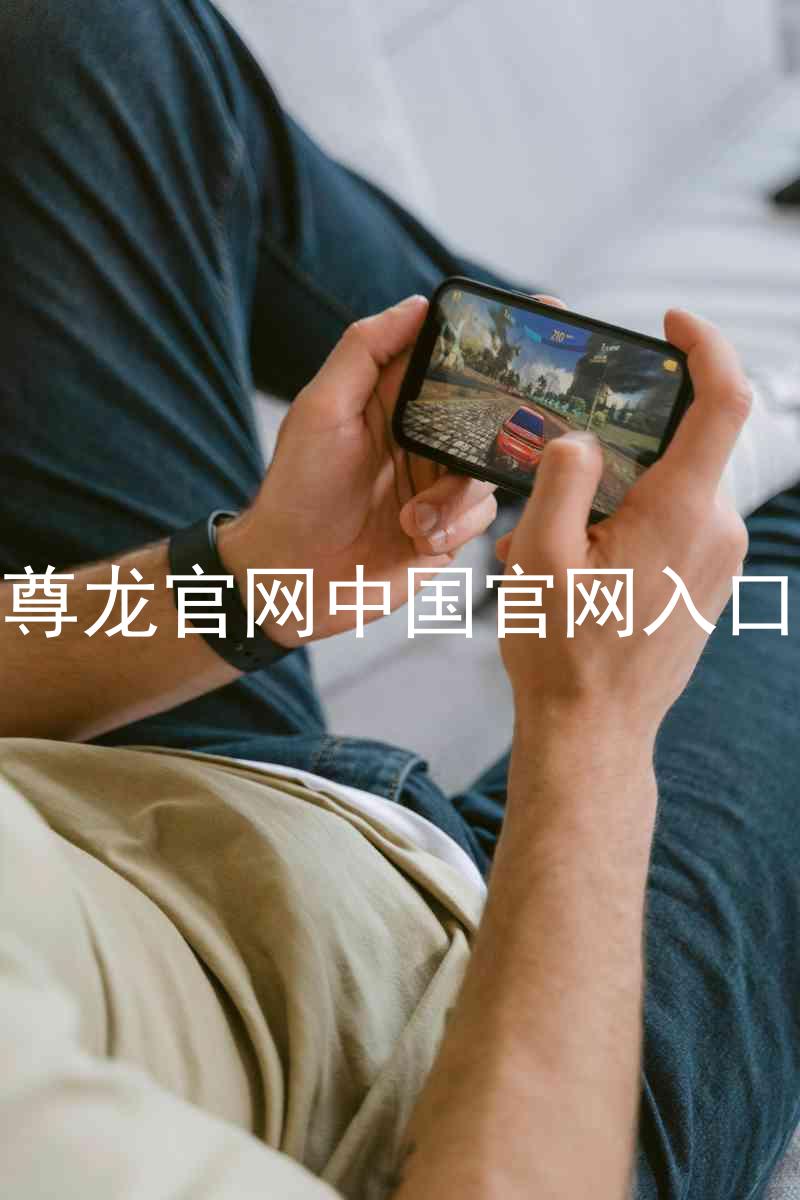 尊龙官网中国官网入口