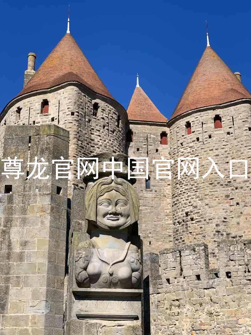 尊龙官网中国官网入口