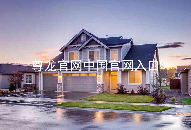 尊龙官网中国官网入口