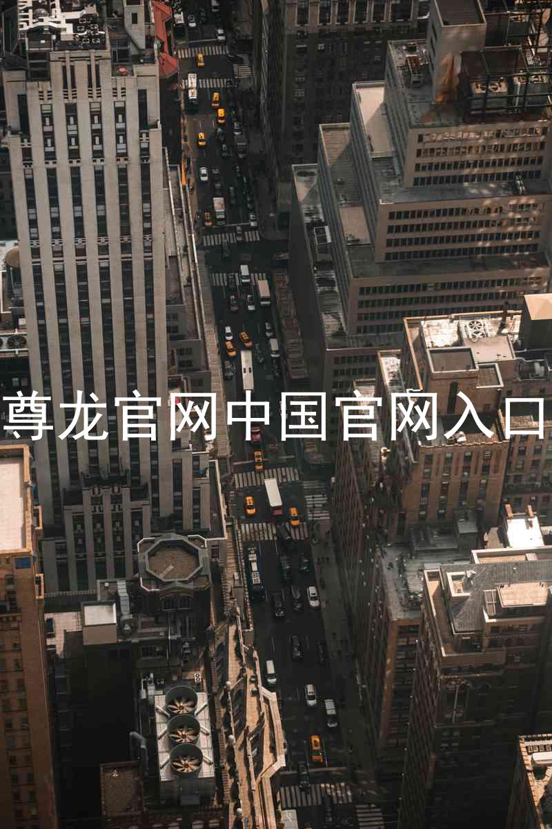 尊龙官网中国官网入口