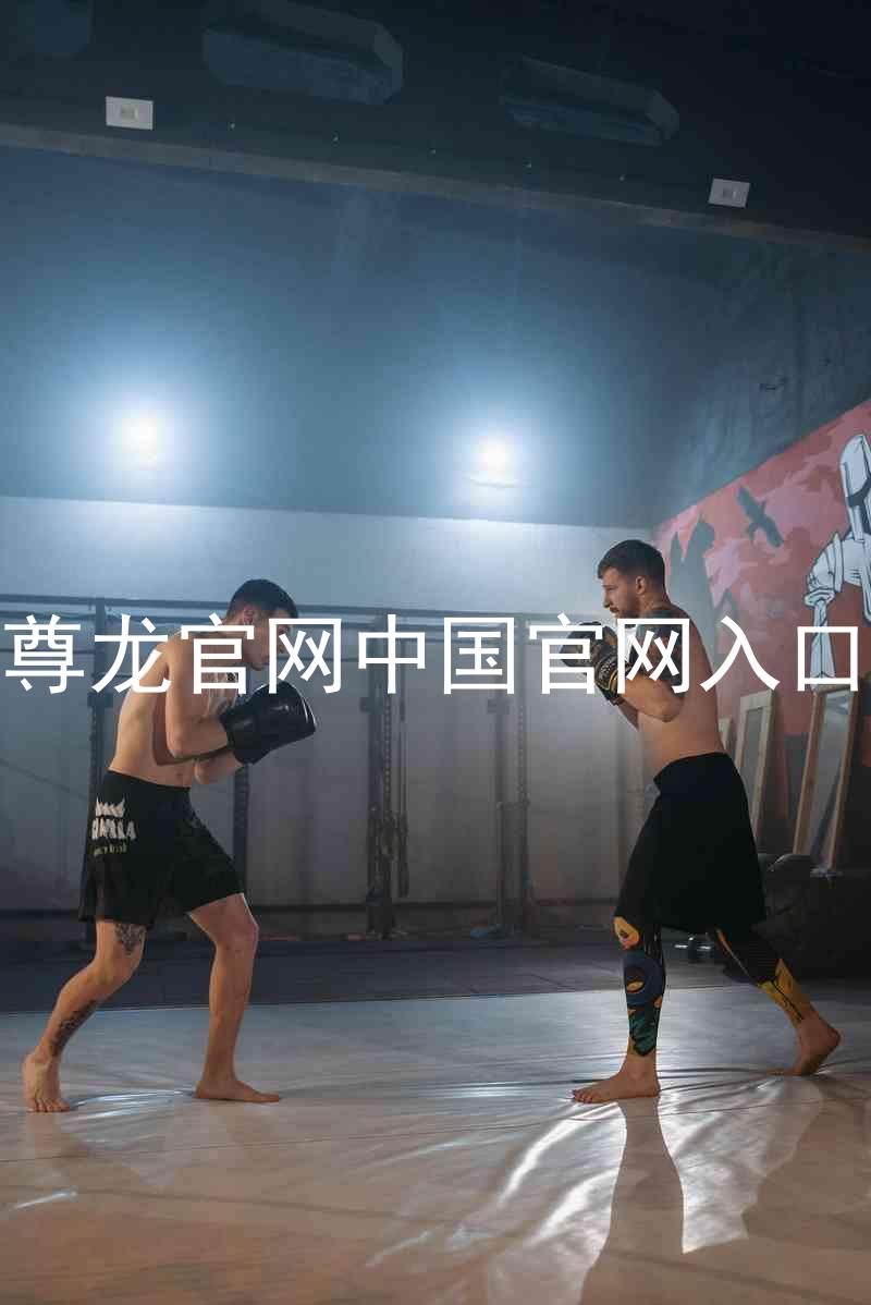 尊龙官网中国官网入口