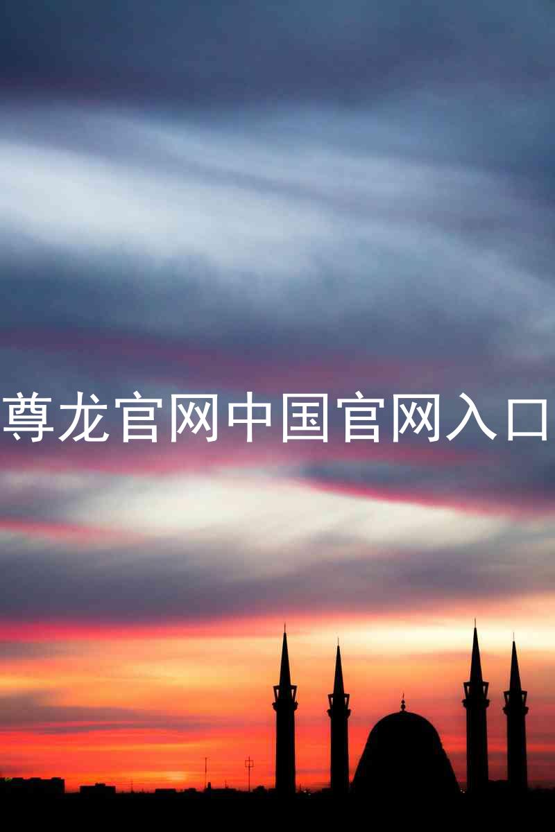 尊龙官网中国官网入口
